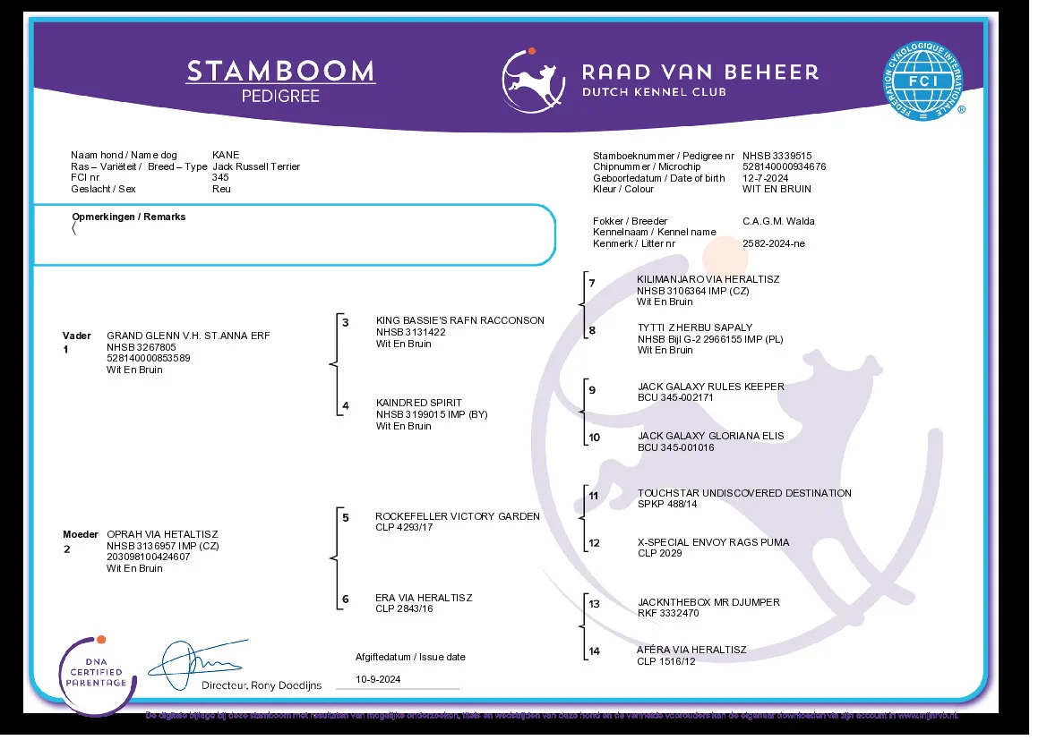 Stamboom van Kane