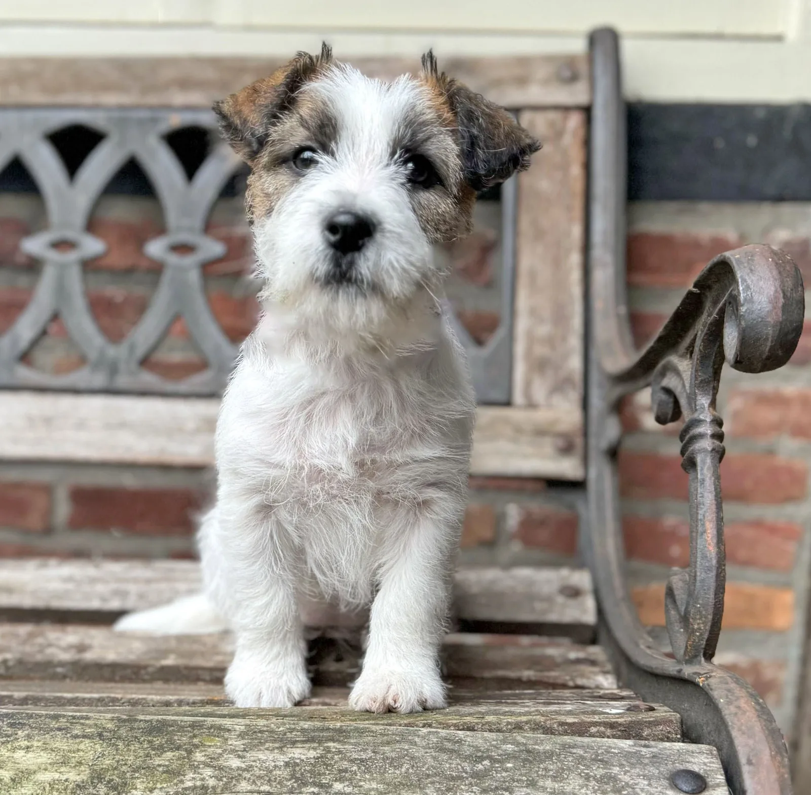 Foto van Lena